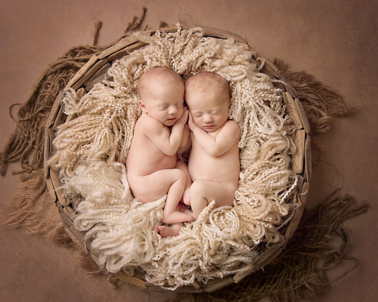 Cleveland Newborn Twin Photographer