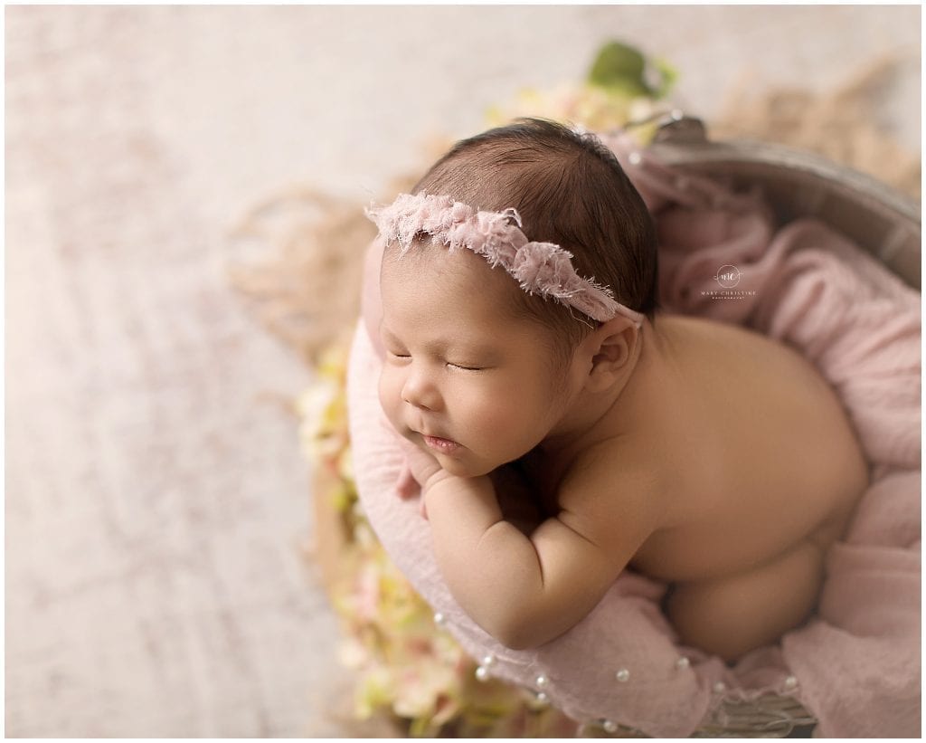 newborn baby photographs