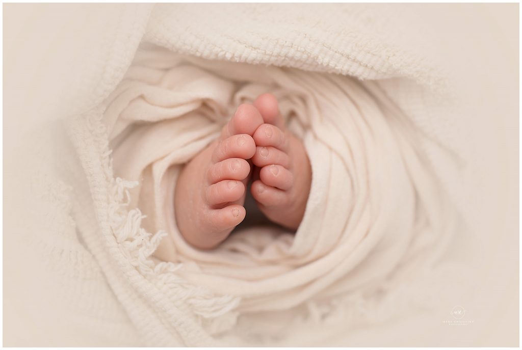 newborn baby photography session