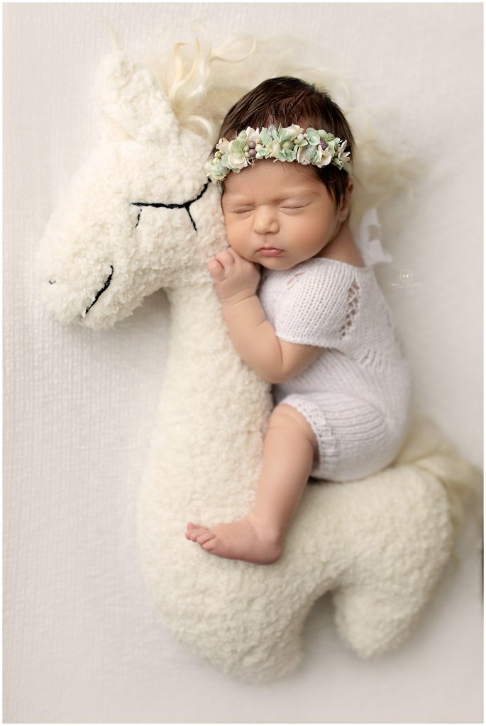 newborn baby photographer