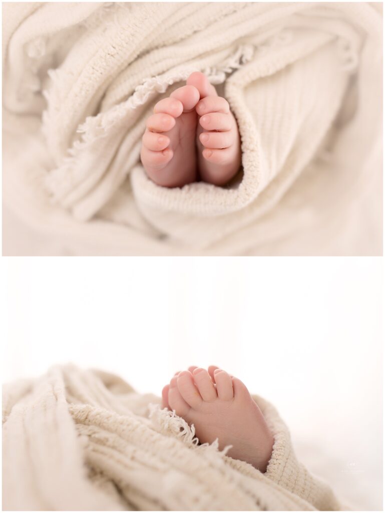 Parma Ohio Newborn Photographer