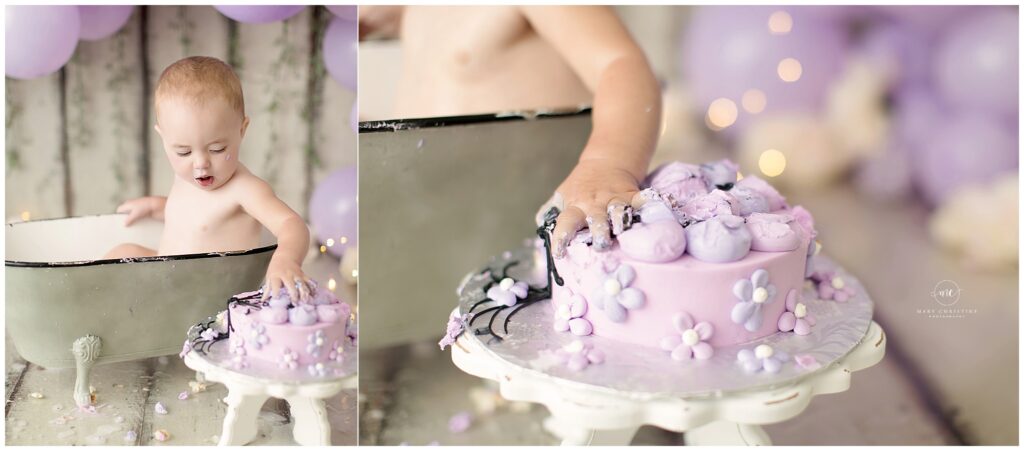 Lavender Cake Smash