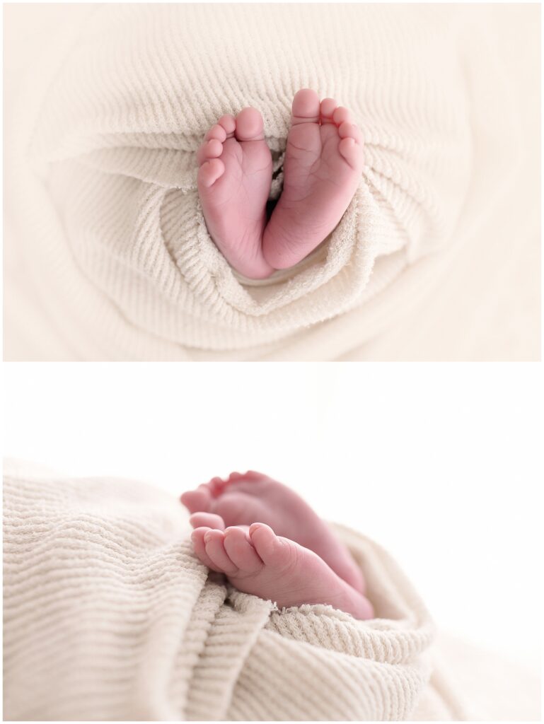 Akron Ohio Newborn Photographer