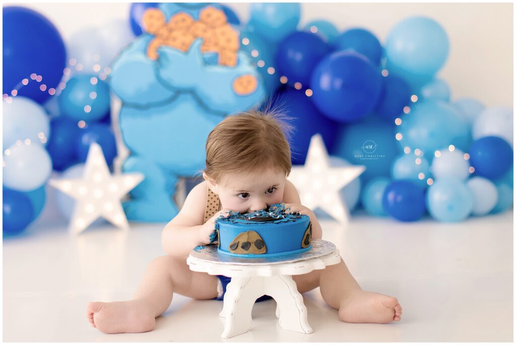 Cookie Monster Cake Smash